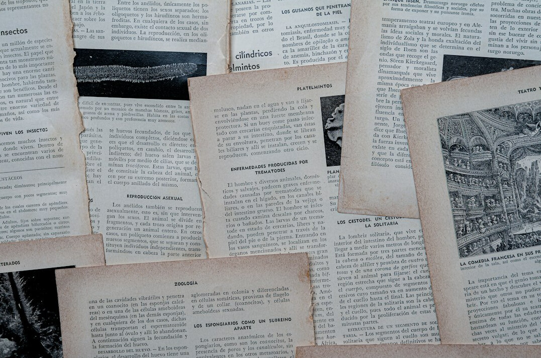 old newspaper clippings